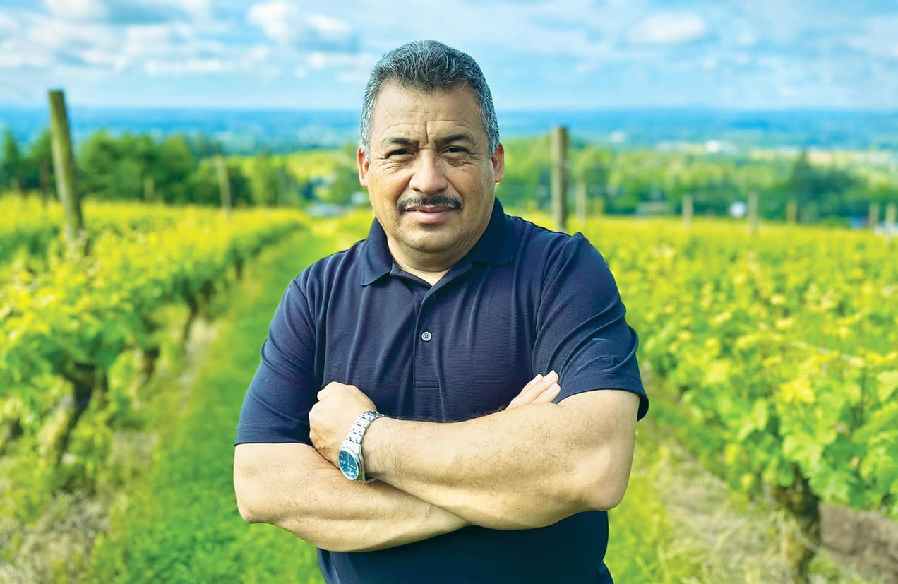 Raise a glass to America's immigrant winemakers