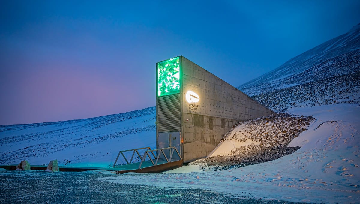 The Svalbard seed vault: A survival bunker for civilization