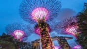 Solarpunk humanism: How we dream bigger than despair | Evening view of Supertree Grove and Marina Bay Sands building in Singa