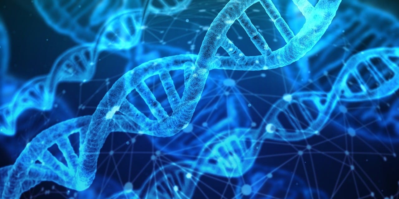 In vivo gene editing: The medicine of the future