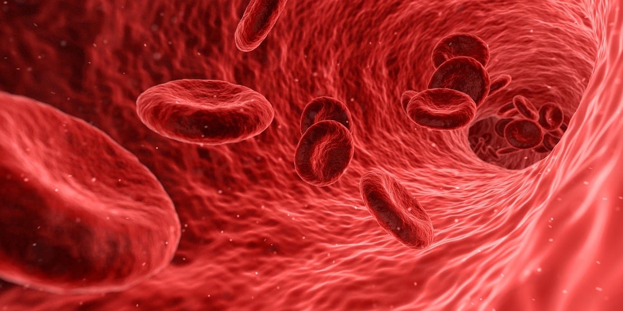 New blood