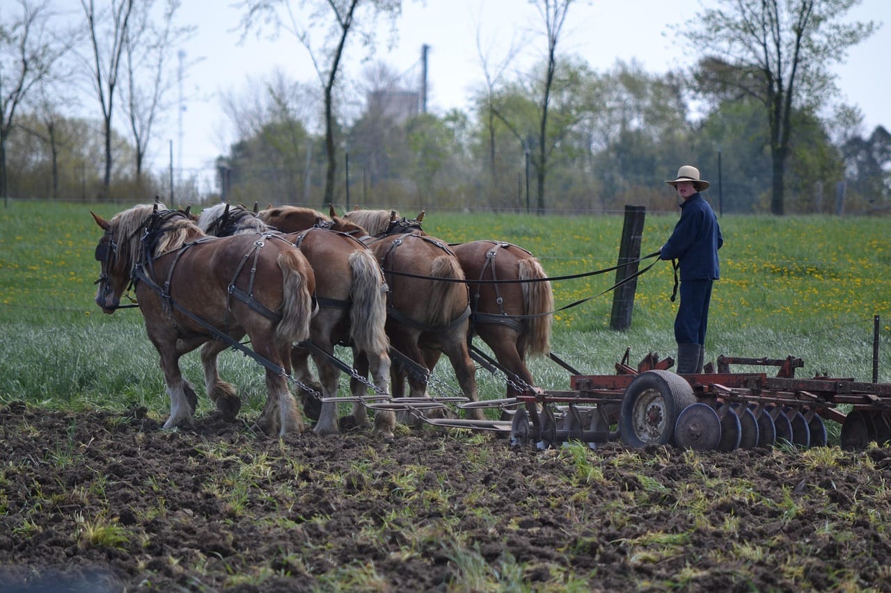 Odds and ends: The Amish response to technocentrism