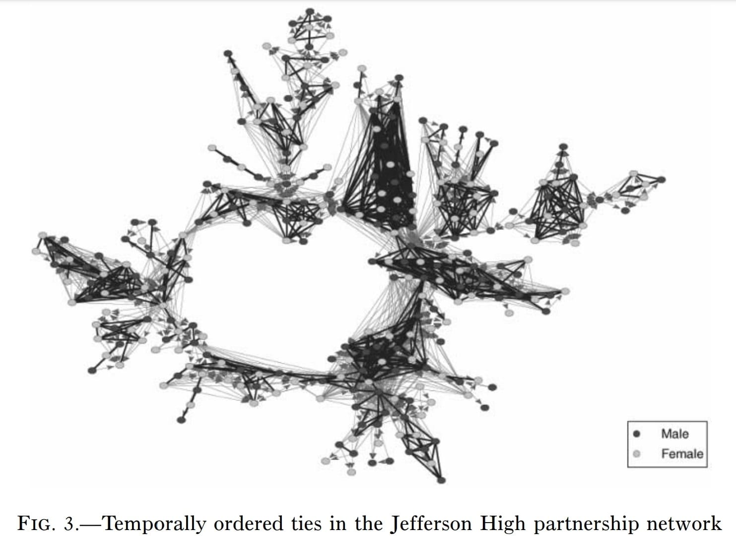 Sexual networks: Theory and research